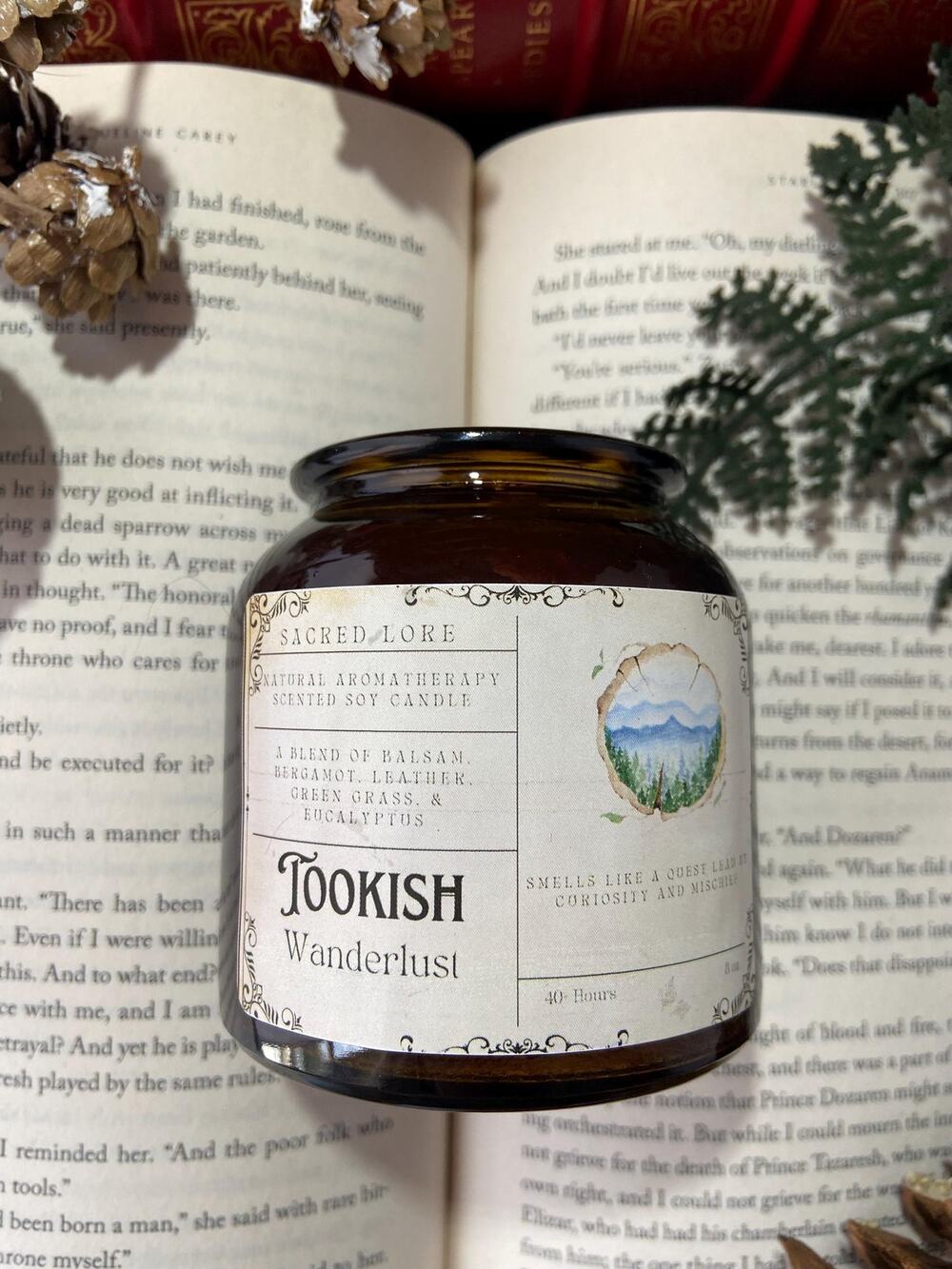 8oz Soy Candle for Book Lovers, Apothecary Jar, Dark Academia Decor